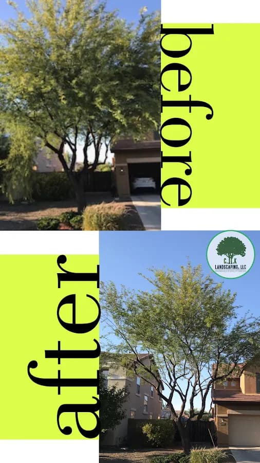 CIK Landscaping LLC in Mesa, AZ