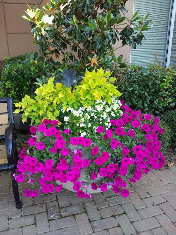 Southern Pride Landscaping in Opelika, AL