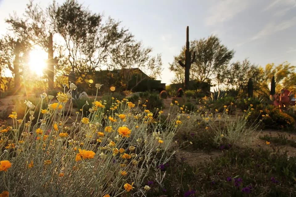 Gold Medal Landscape Management in Mesa, AZ