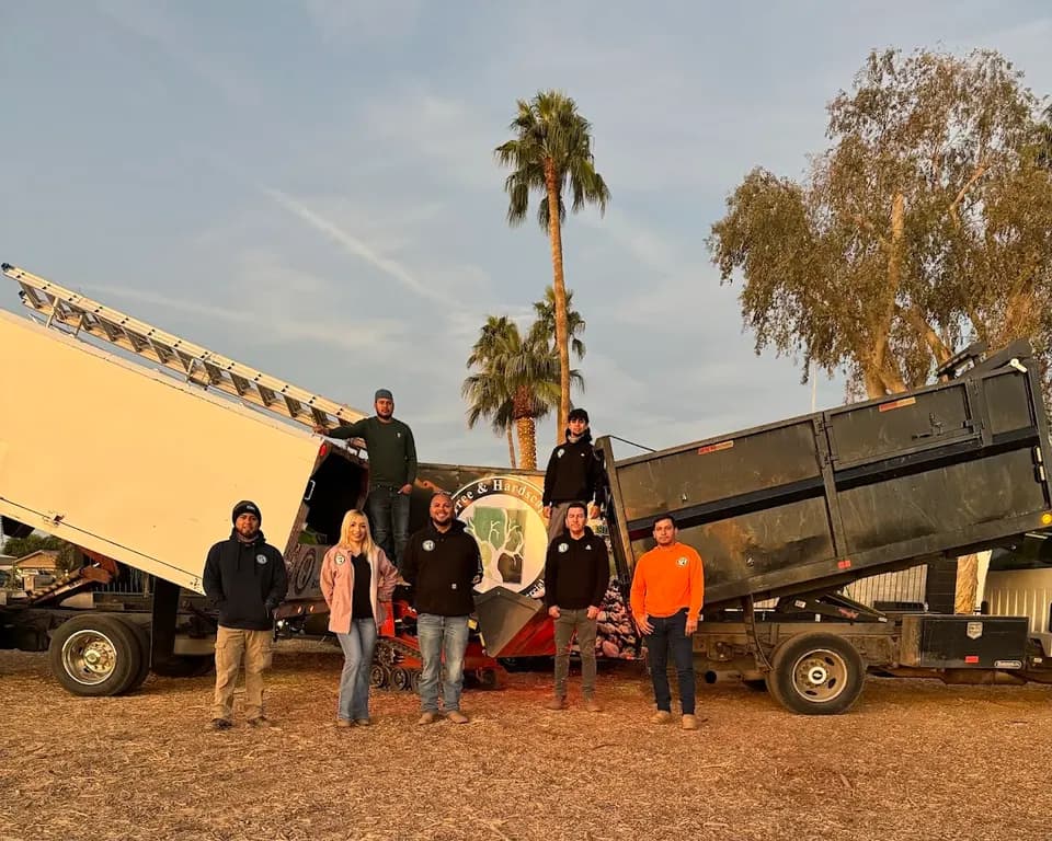 AZ Tree & Hardscape Co in Waddell, AZ
