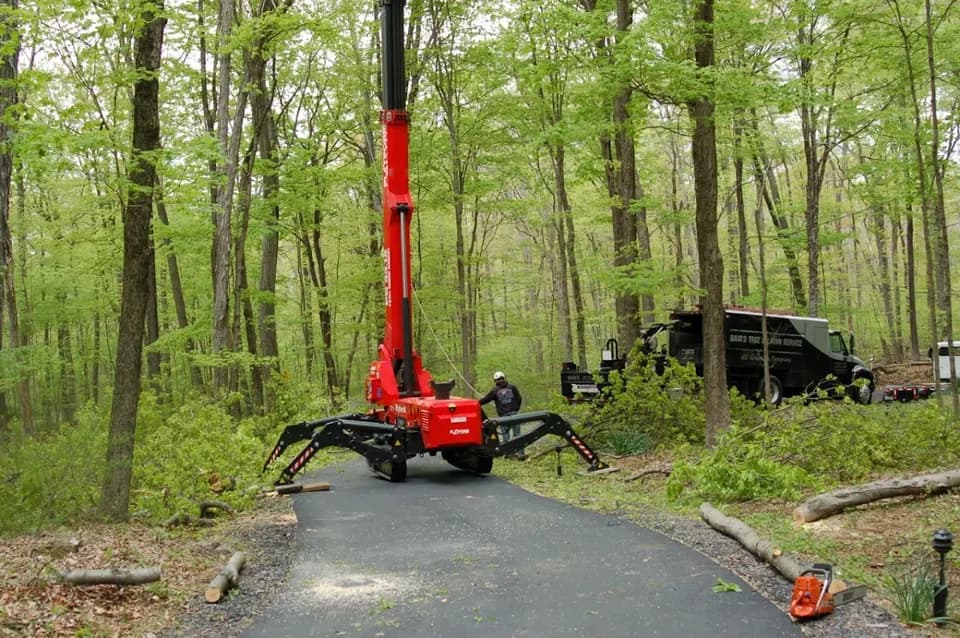 Bairs Tree & Lawn Service in Sellersville, PA