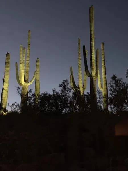 Let There Be Light in Carefree, AZ