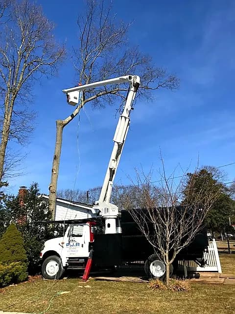 P.J.R Landscaping & Tree Service in Bay Shore, NY