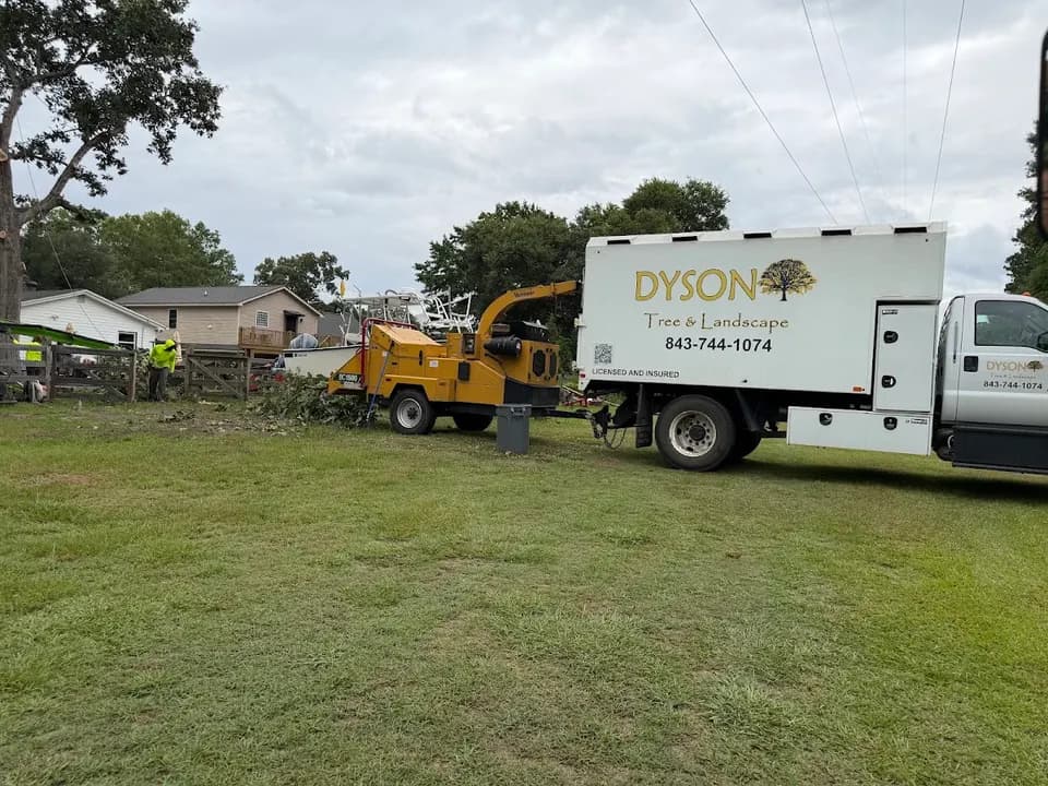 Dyson Tree Service in Hanahan, SC