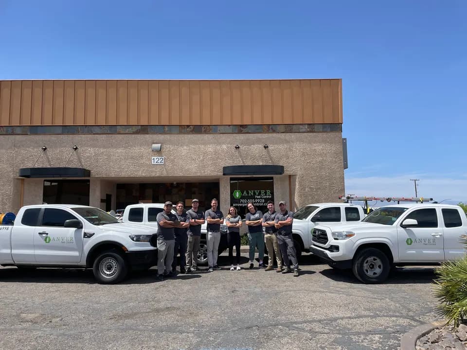 Anver Pest Control in Henderson, NV