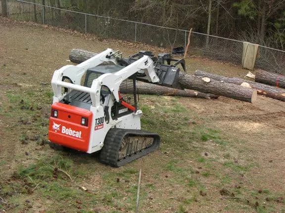 Acadiana Tree Service & Stump Removal in St. Martinville, LA