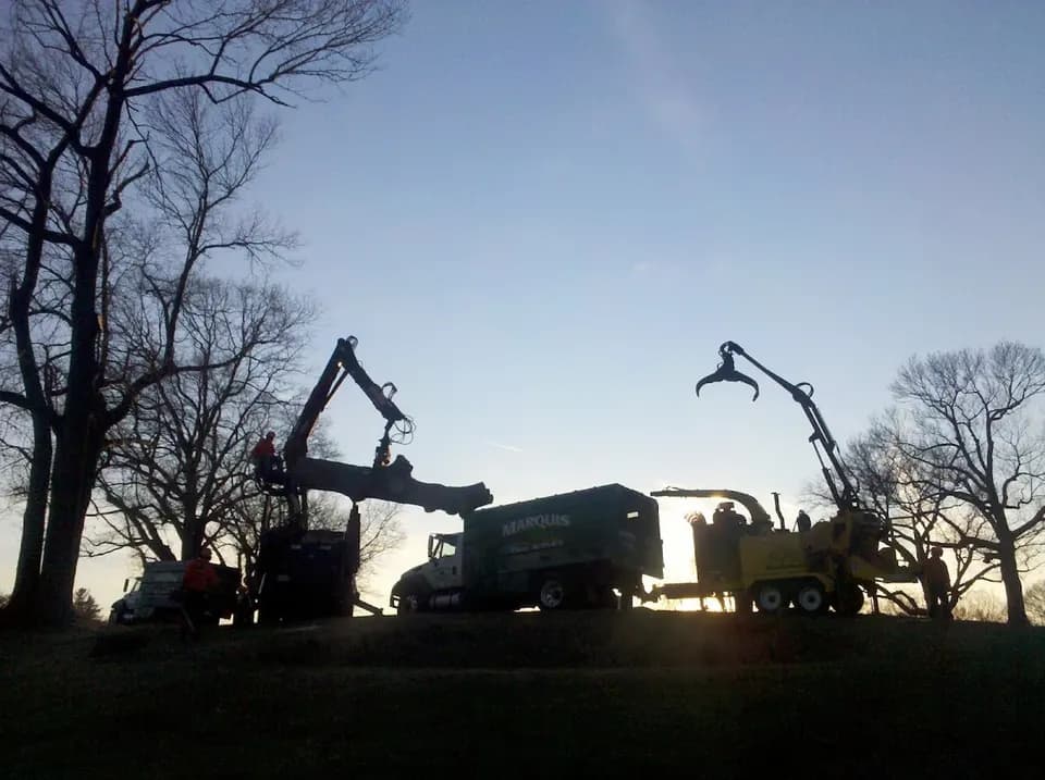 Marquis Tree Service in North Billerica, MA
