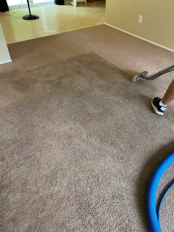 Polk County Carpet Cleaning in Independence, OR