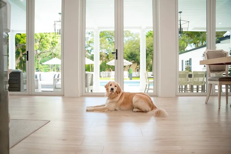 Renuity Home Improvement of South Florida in Fort Lauderdale, FL