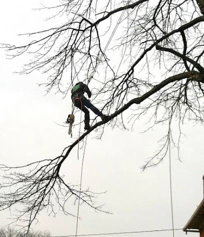 Boalton's Tree Service in Barto, PA