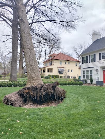 Thompson Tree Care and Landscaping — main photo