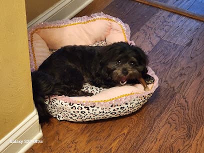Patty's Pet Sitting Services in Portsmouth, VA