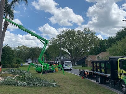 Park Trim & Haul Tree Service LLC in St. Petersburg, FL