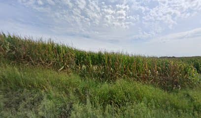 Paradise Park in Oregon, MO