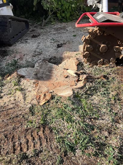 CB Stump Removal in Bowling Green, KY