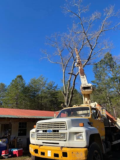 Lance Tree Service in Tellico Plains, TN