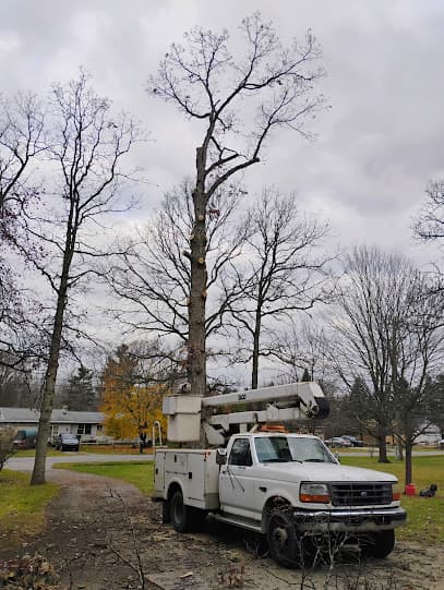 Riddles Tree Service LLC in Wyatt, IN