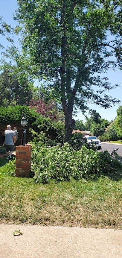 Three Trees Specialties, LLC in Loveland, CO