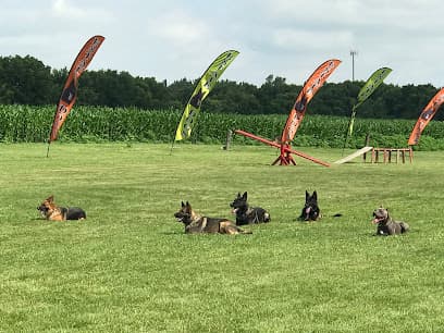 Estate Dogs LLC in Carroll, OH