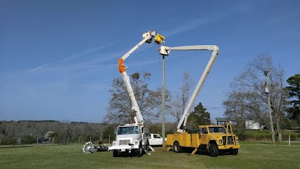 Salter's Treeman in Thomaston, GA