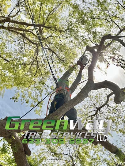 Greenway Tree Service in Phoenix, AZ