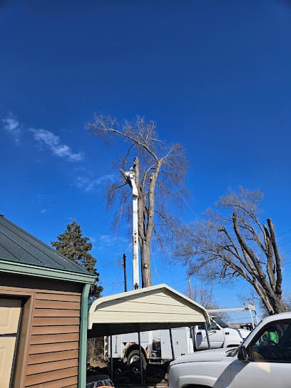 PJ's Tree Service — main photo