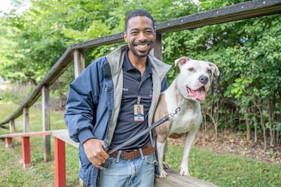 VillageWay Dog Training LLC in Cleveland, OH