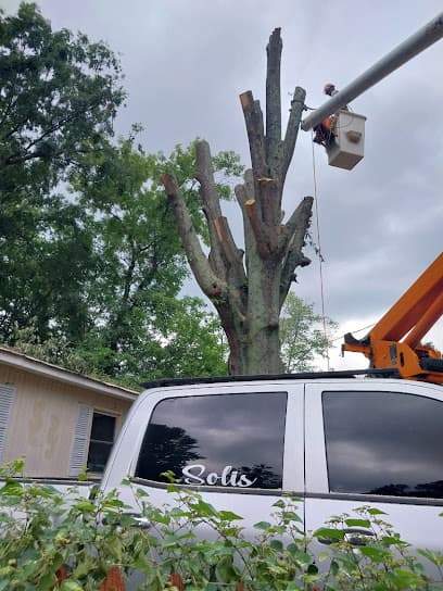 Green Limb Tree Service in Greensboro, NC