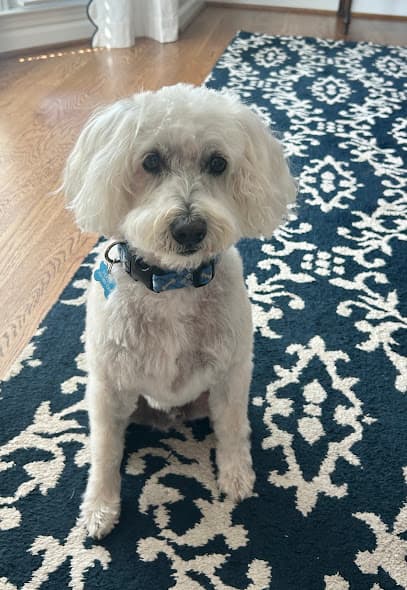 The Fuzzy Dawg LLC cover photo