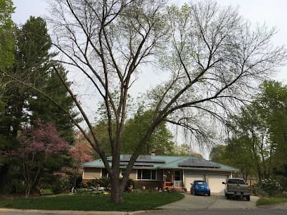 Affordable Treefellers LLC — main photo