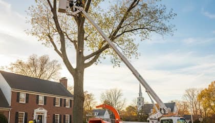 BBD Tree Service — main photo