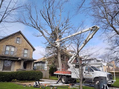 Simo Brothers Tree Service, Inc. — main photo