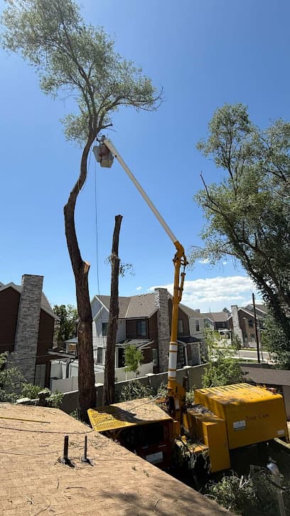 Miracle Tree Services in Salt Lake City, UT