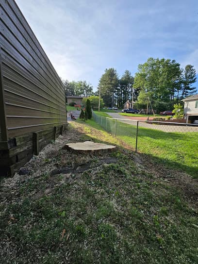 River City Tree Care in Ringgold, GA