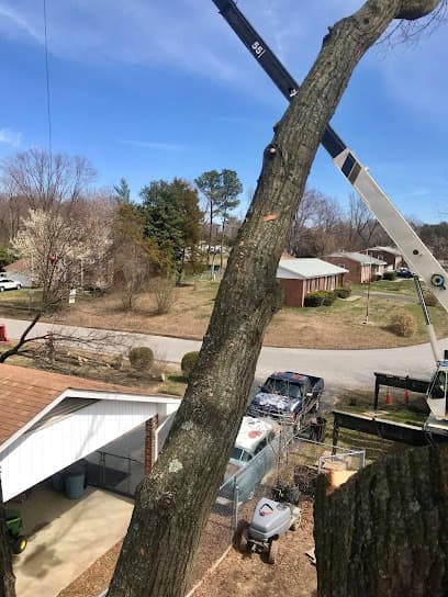 Steve's Trees in Fredericksburg, VA