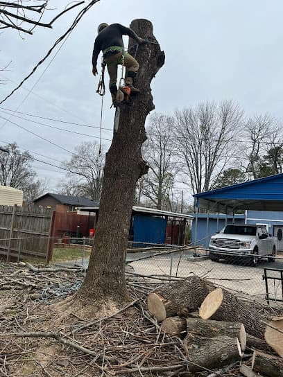 BGM Tree Services LLC in Indian Trail, NC
