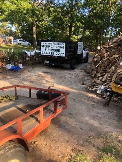 R&R Reliable Tree Service in House Springs, MO